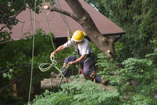 Landscape Design and Installation in West Liberty, OH